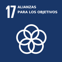 Objetivo 17: Fortalecer los medios para implementar y revitalizar la Alianza Mundial para el Desarrollo Sostenible