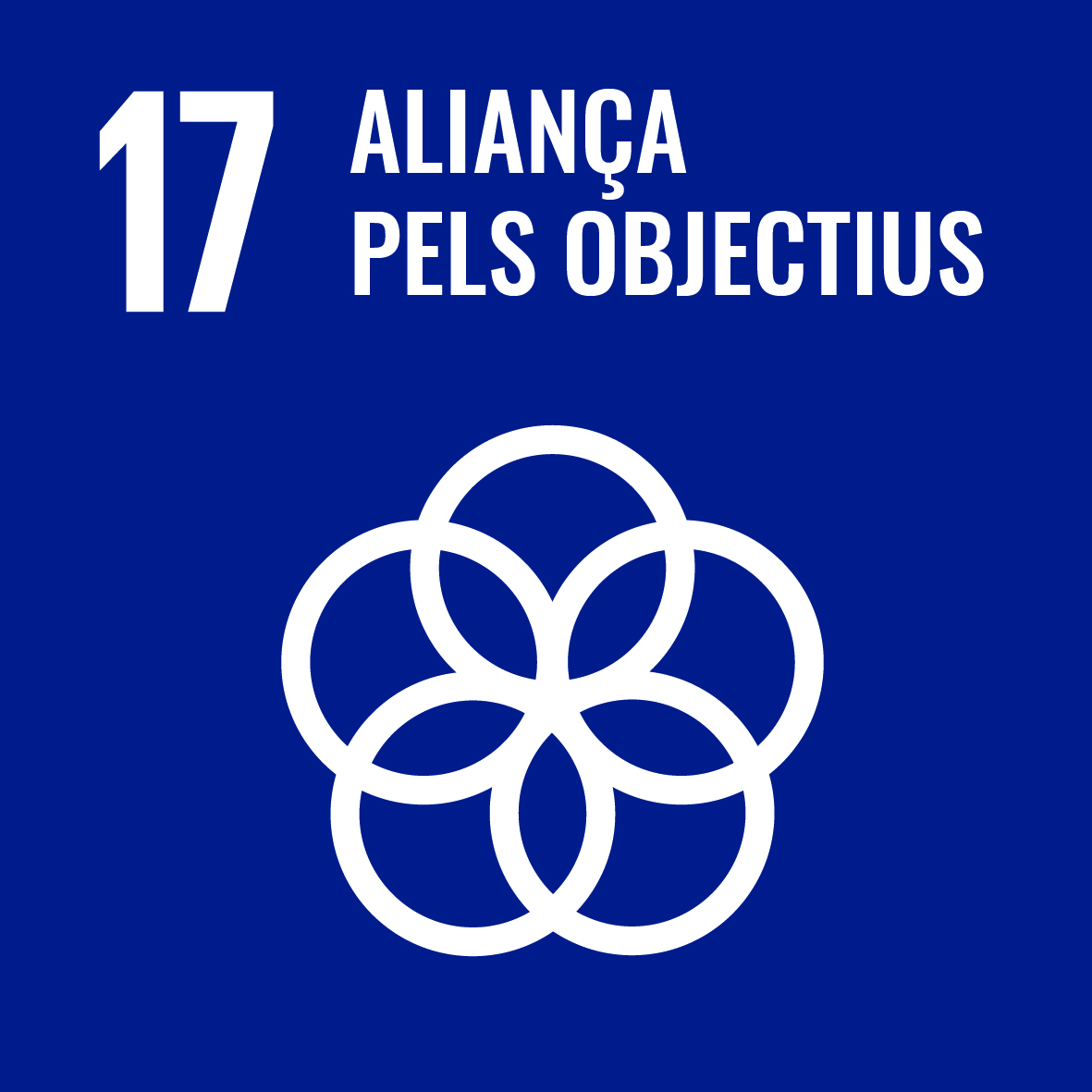 Objectiu 17: Enfortir els mitjans per a implementar i revitalitzar l’Aliança Mundial per al Desenvolupament Sostenible