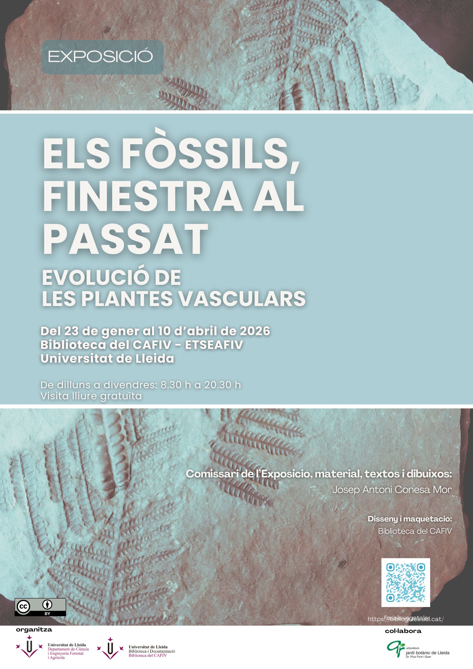 cartellfossils