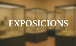 exposicions