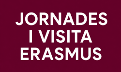 jornadesivisita