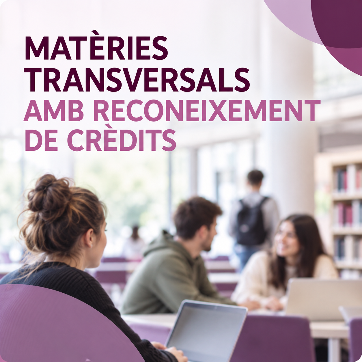 materiestransversals