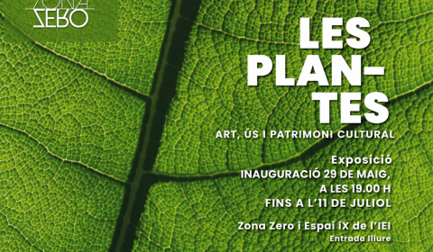 plantesimatge1.jpg