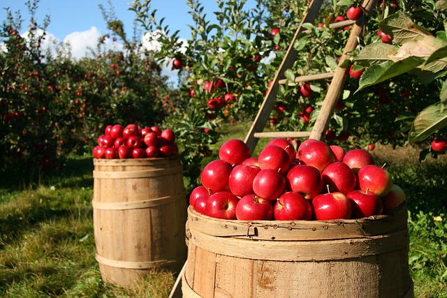 Agricultura UE