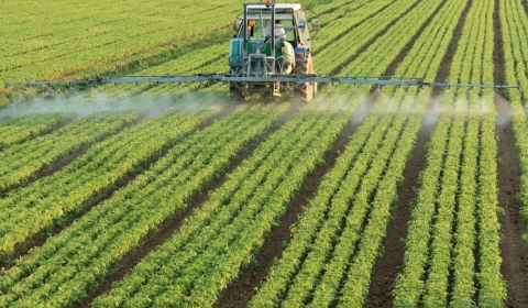 Agricultura