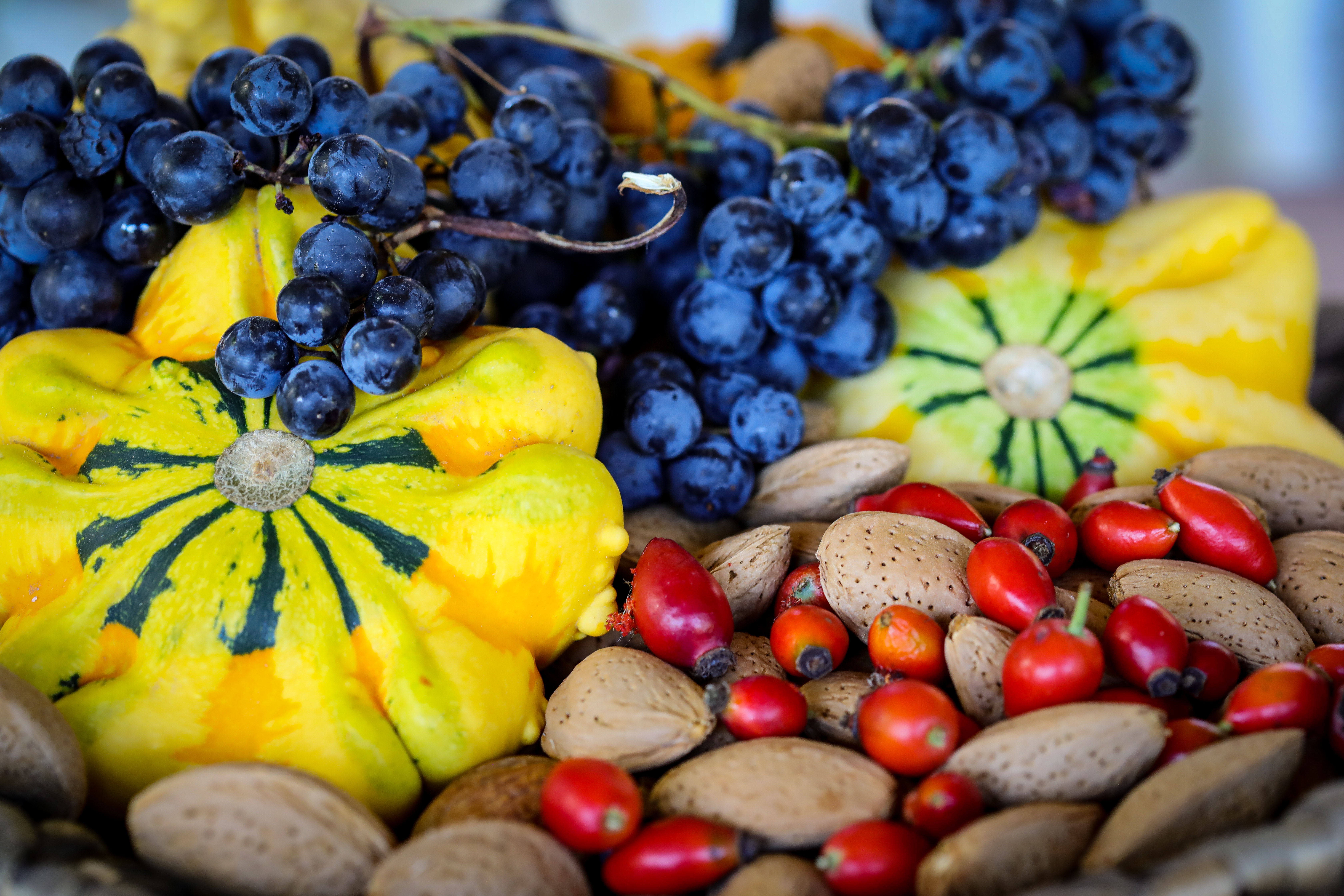 aliments innovadors