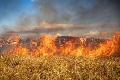 incendis forestals