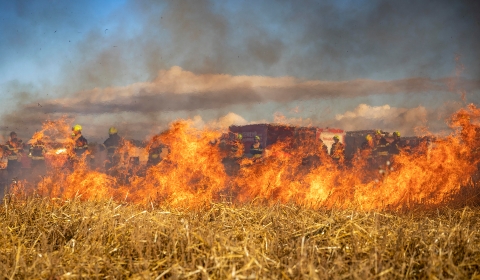 incendis forestals