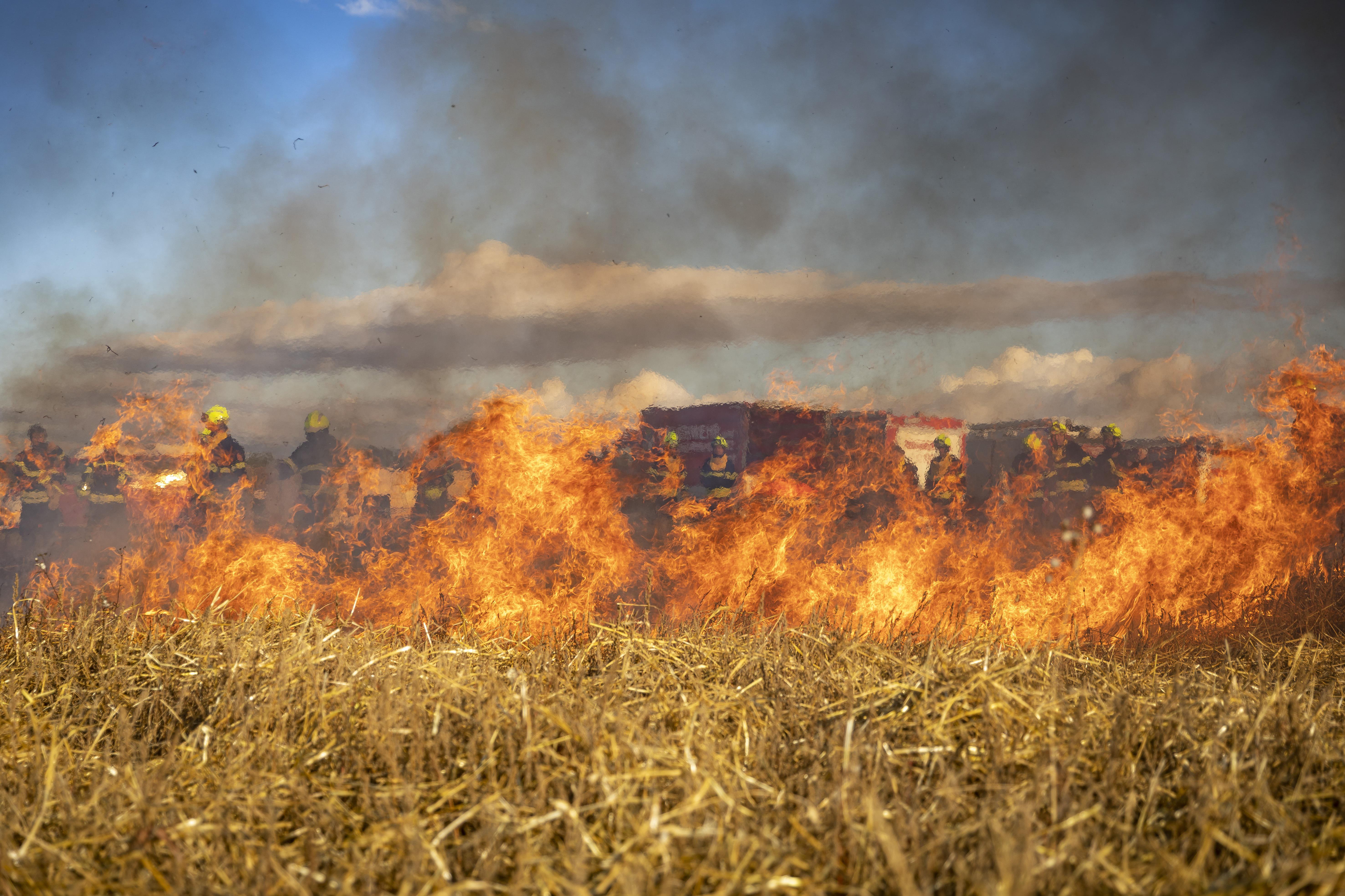 incendis forestals