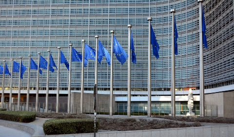 Pràctiques i treball UE