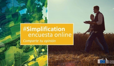 simlificació enquesta